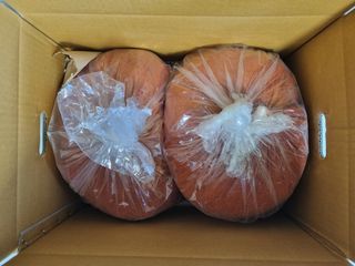 아이농장님의 작성글 사진