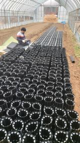 팜모닝 기타작물·자유게시판 게시글 이미지