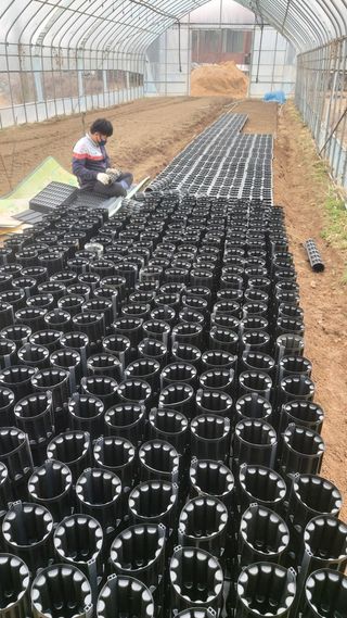 파머월드님의 기타작물 · 자유게시판 작성글 사진