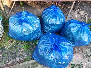 고골농장님의 고추 · 일상 작성글 사진