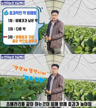 알 수 없음님의 딸기 · 병해충상담 작성글 사진