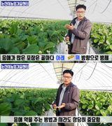 팜모닝 딸기·병해충상담 게시글 이미지