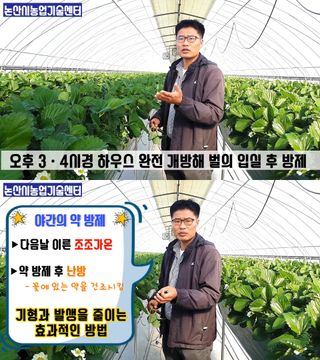 알 수 없음님의 딸기 · 병해충상담 작성글 사진