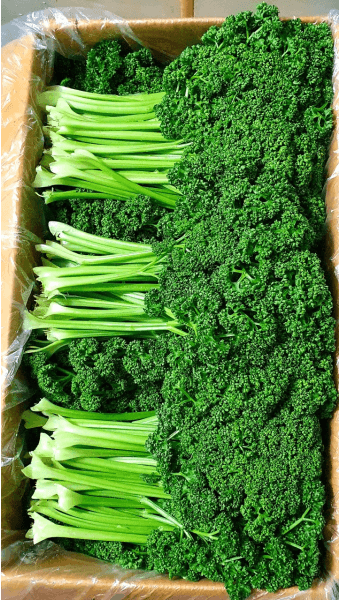 장터 상품 [파세리 2k-20.000] 썸네일