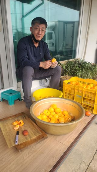 남윤호님의 감 · 자유게시판 작성글 사진