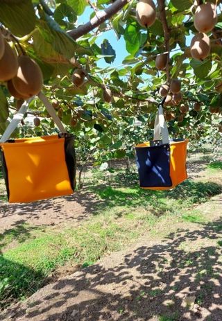 고추20780님의 기타작물 · 자유게시판 작성글 사진