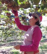 팜모닝 기타작물·자유게시판 게시글 이미지