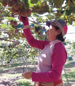 고추20780님의 기타작물 · 자유게시판 작성글 사진