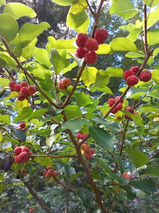 인생은 소풍처럼님의 기타작물 · 자유게시판 작성글 사진