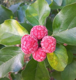 인생은 소풍처럼님의 기타작물 · 자유게시판 작성글 사진