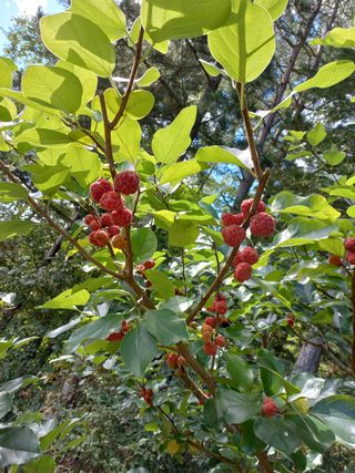 인생은 소풍처럼님의 기타작물 · 자유게시판 작성글 사진
