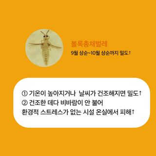 알 수 없음님의 귤 · 병해충상담 작성글 사진