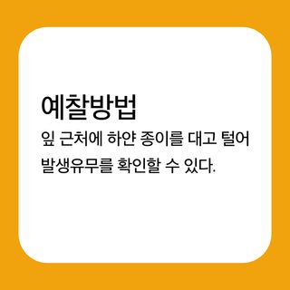 알 수 없음님의 귤 · 병해충상담 작성글 사진