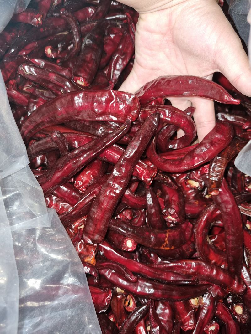 아이농장님의 장터 판매 상품 [판매완료] 첨부 사진