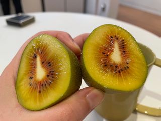 금숙님의 작성글 사진