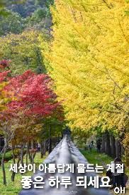 吳宇夏 오솔길오두막님의 벼 · 자유게시판 작성글 사진