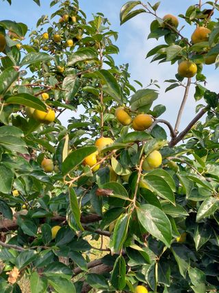 김연화님의 작성글 사진