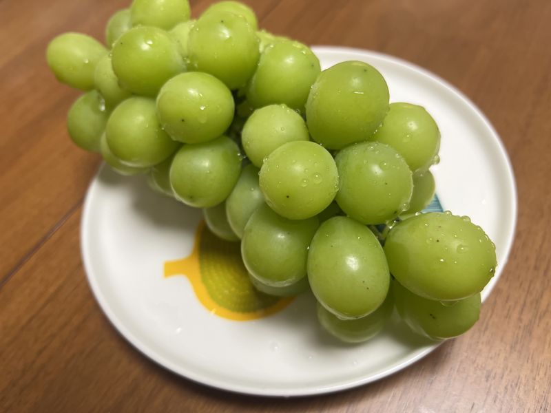 장터 상품 [정성연 농민님 판매 잘되기를 바라는 마음에서 후기를 몇] 썸네일