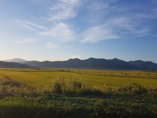 국가대표님의 벼 · 자유게시판 작성글 사진