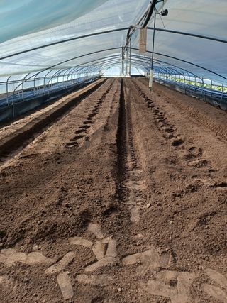 강혜정님의 딸기 · 일상 작성글 사진