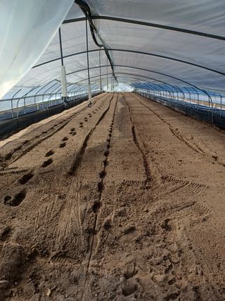 강혜정님의 딸기 · 일상 작성글 사진