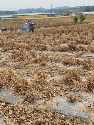 참깨22066님의 콩 · 자유게시판 작성글 사진