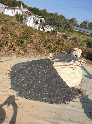 참깨22066님의 콩 · 자유게시판 작성글 사진