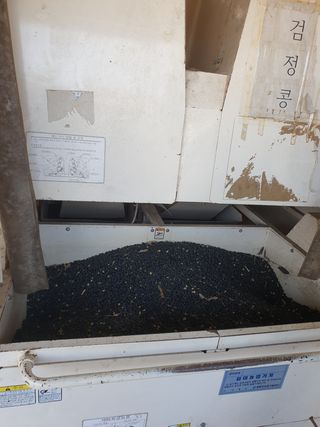 참깨22066님의 콩 · 자유게시판 작성글 사진