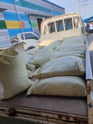 참깨22066님의 콩 · 자유게시판 작성글 사진