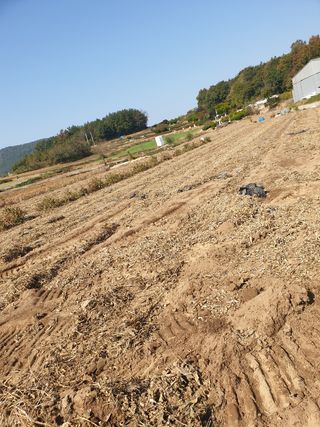 참깨22066님의 콩 · 자유게시판 작성글 사진