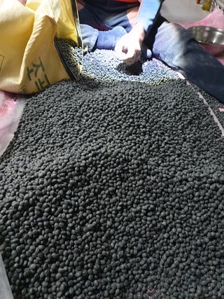 참깨22066님의 콩 · 자유게시판 작성글 사진