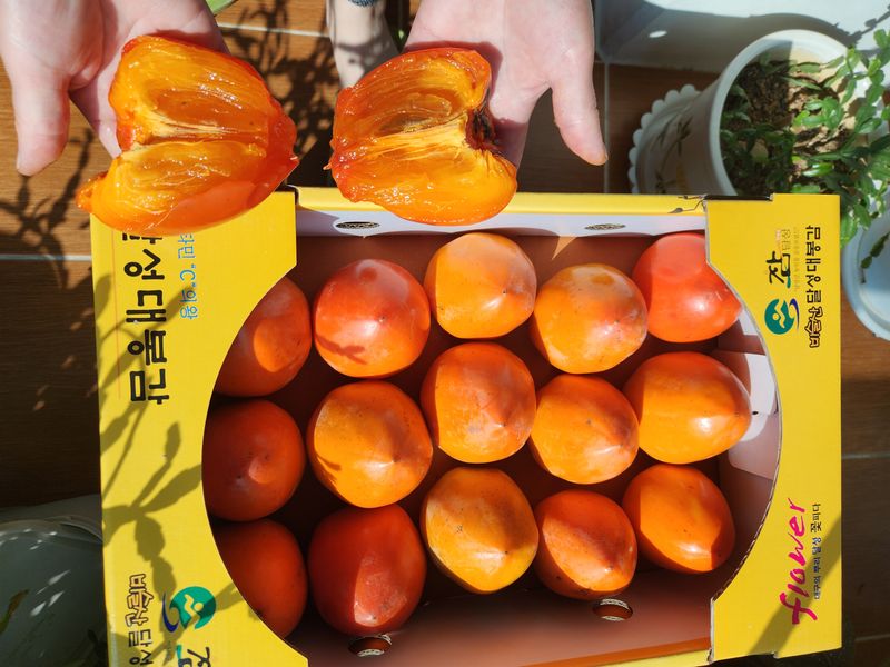 김호영님의 장터 판매 상품 [대봉감 ] 첨부 사진