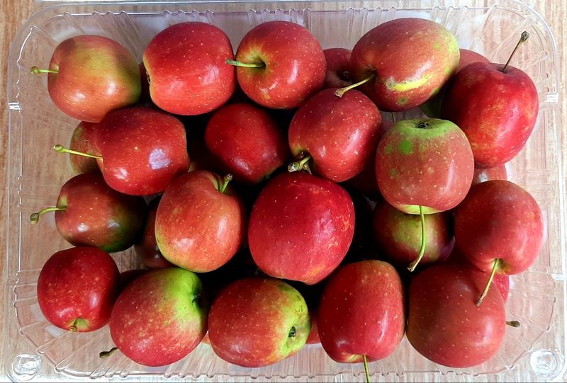 윤미경님의 장터 판매 상품 [미니사과 및 미니사과 즙 미니사과] 첨부 사진