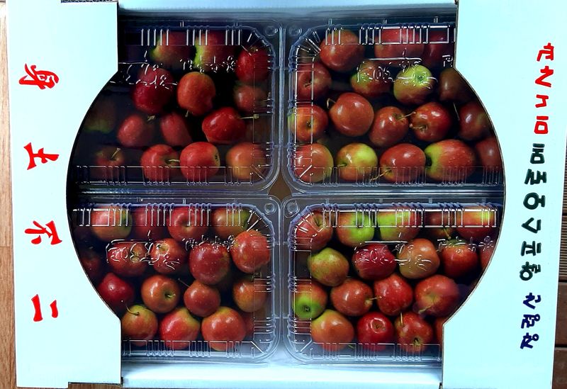 윤미경님의 장터 판매 상품 [미니사과 및 미니사과 즙 미니사과] 첨부 사진