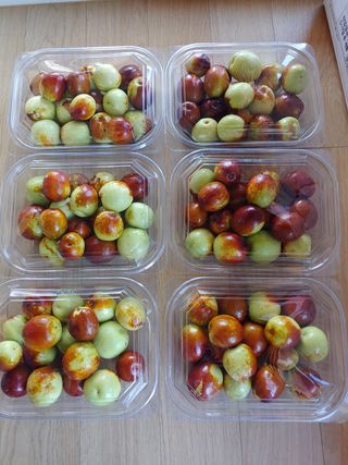 천승준님의 상추 · 자유게시판 작성글 사진