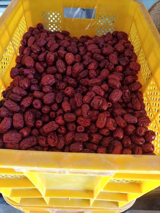 천승준님의 상추 · 자유게시판 작성글 사진