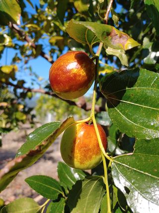 천승준님의 상추 · 자유게시판 작성글 사진