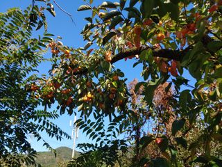 천승준님의 상추 · 자유게시판 작성글 사진