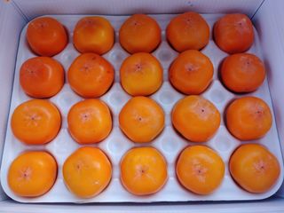 천승준님의 상추 · 자유게시판 작성글 사진