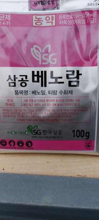 한마음농원님의 마늘 · 일상 작성글 사진