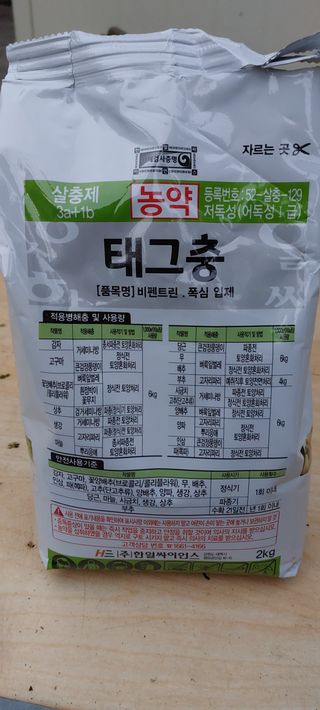 한마음농원님의 마늘 · 일상 작성글 사진