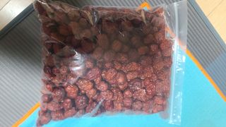 남윤호님의 감 · 자유게시판 작성글 사진