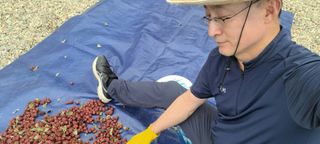 남윤호님의 감 · 자유게시판 작성글 사진