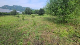 남윤호님의 감 · 자유게시판 작성글 사진