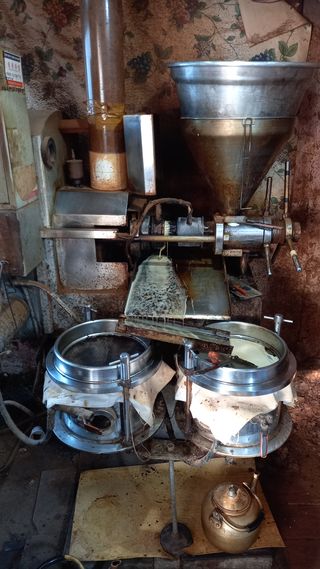 항상감사 님의 매실 · 자유게시판 작성글 사진