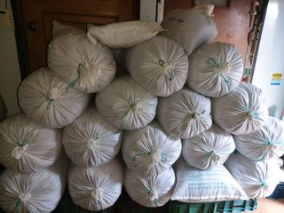 홍순원님의 들깨 · 자유게시판 작성글 사진