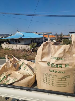 서동훈님의 벼 · 자유게시판 작성글 사진