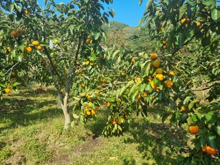 오재오님의 작성글 사진
