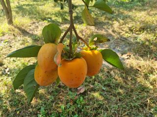 오재오님의 작성글 사진