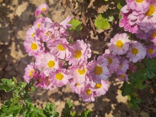 오재오님의 작성글 사진